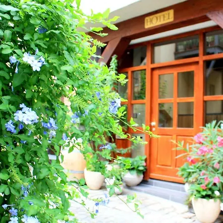Guest house D & S &