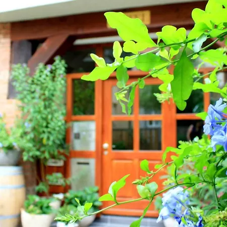Guest house D & S &