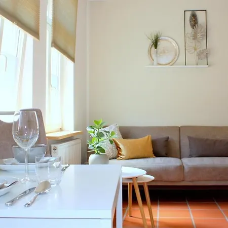 D & S & Guest house *