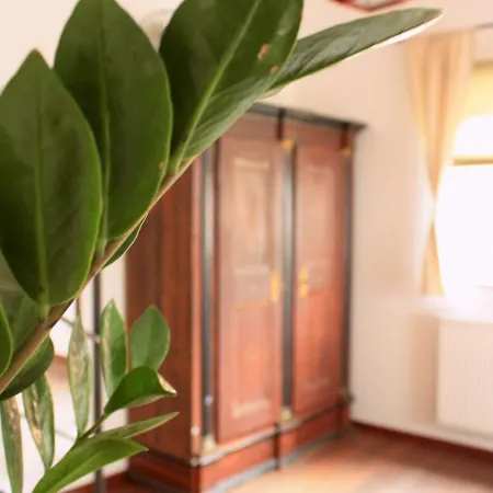 D & S & Guest house Besigheim