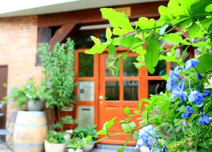 Πανσιόν D & S &