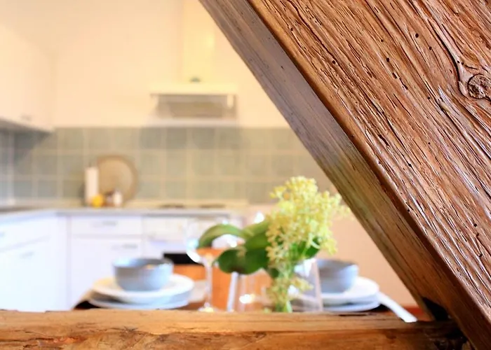 D & S & Πανσιόν