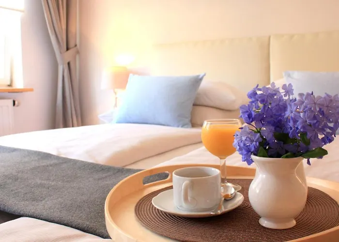 D & S & Πανσιόν