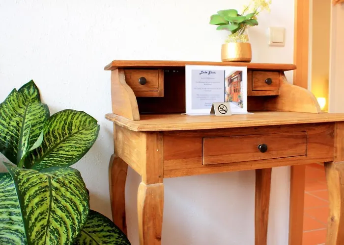 D & S & Πανσιόν