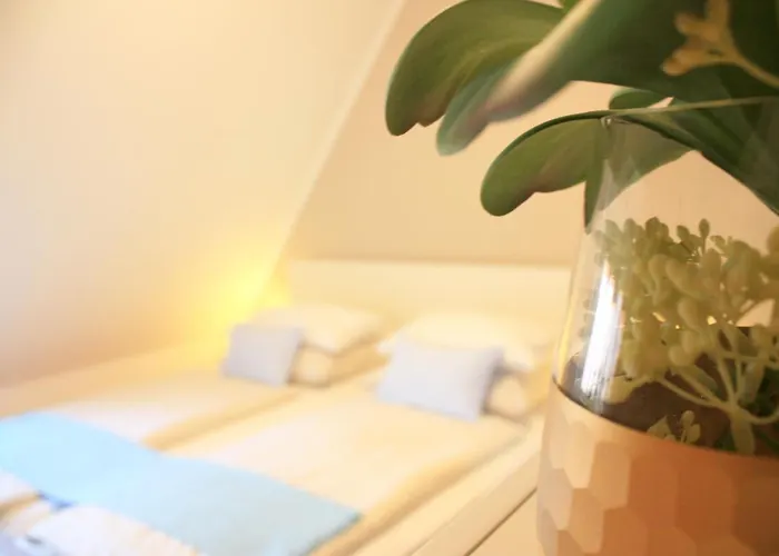 D & S & Πανσιόν 4*